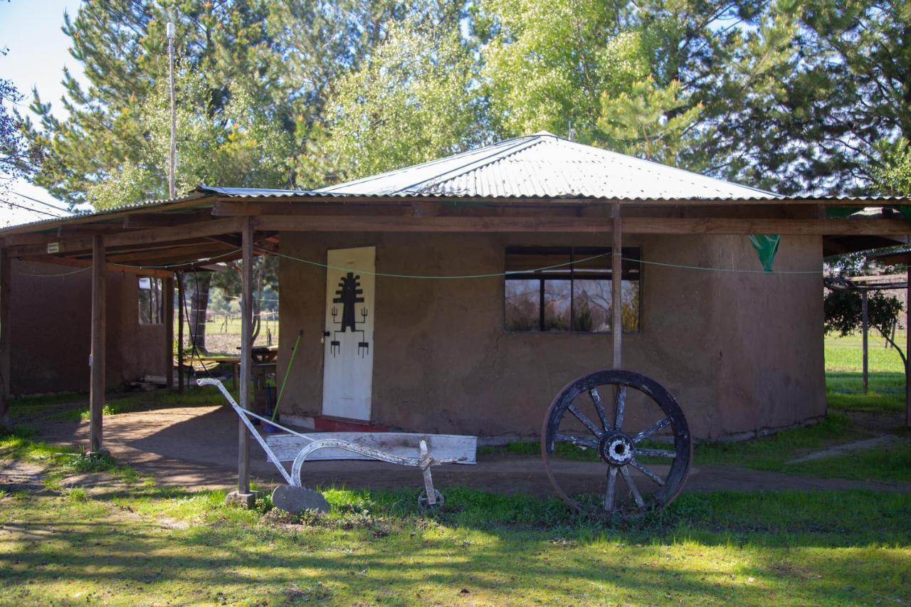 Coyunche Cabanas Y Camping Laja & San Rosendo Exterior photo